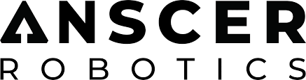 No Logo
